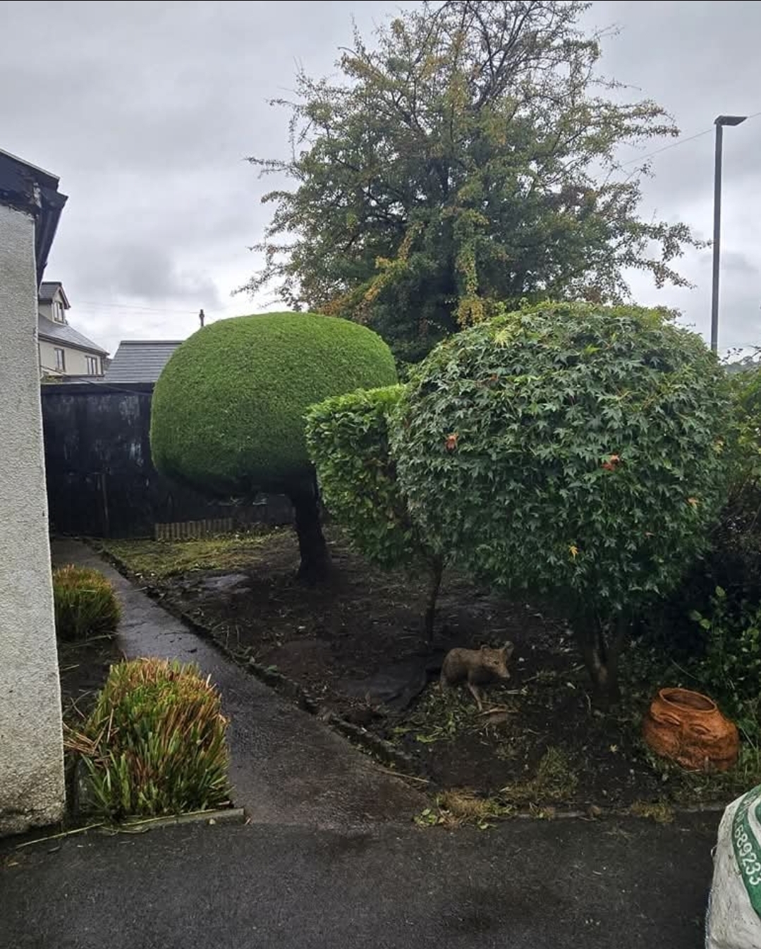 Big & Small Groundcare