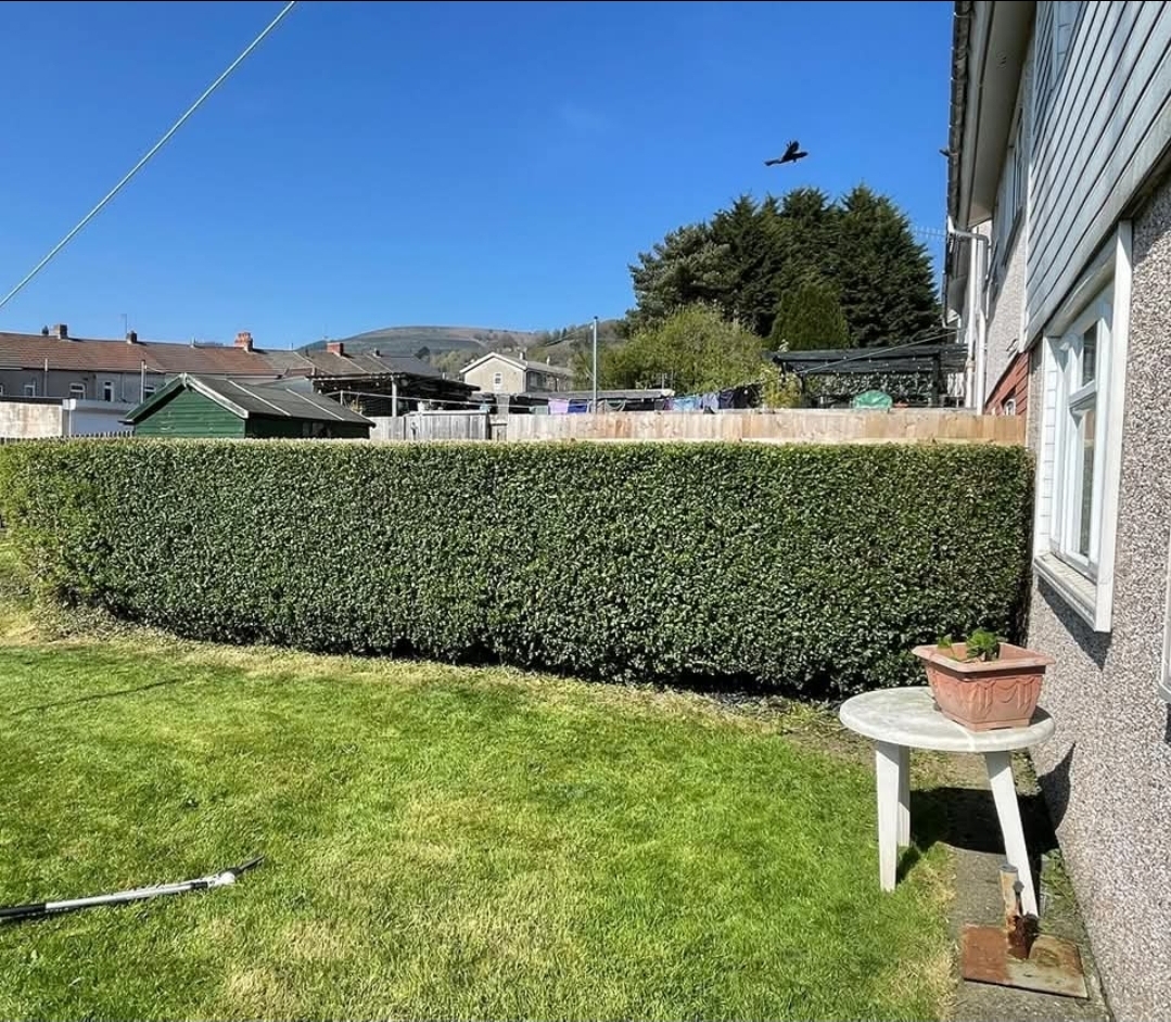 ground maintenance Caerphilly